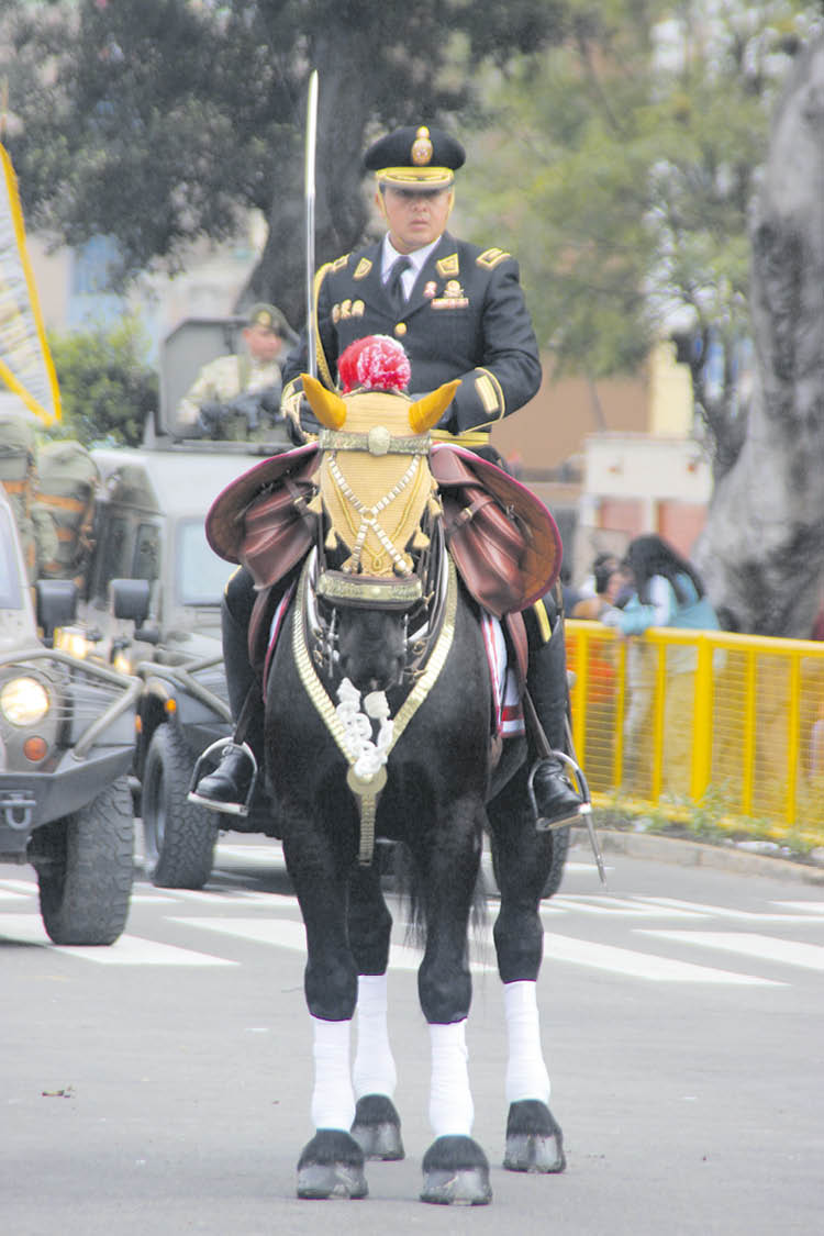  (9) PASO MARCIAL. Oficial del regimiento de caballería se alista para ingresar a la zona del desfile cívico militar.
