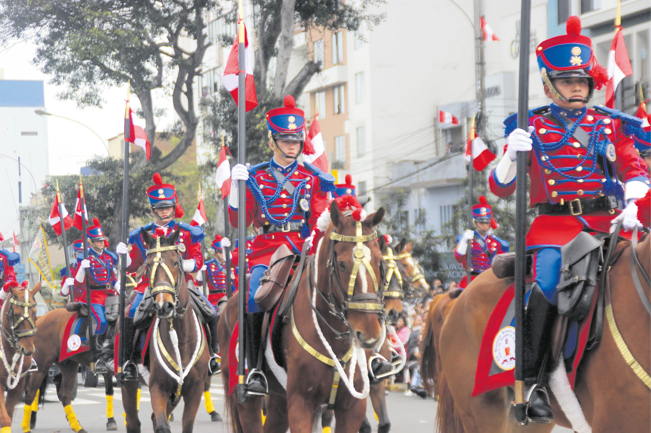  (6) HISTÓRICOS. Aunque un caballo del regimiento de los Húsares de Junín, escolta de la presidenta, cayó, esto no impidió su paso por el estrado. 