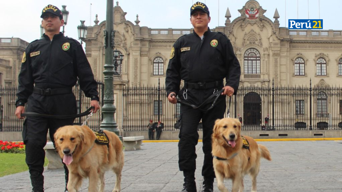 Policía canina