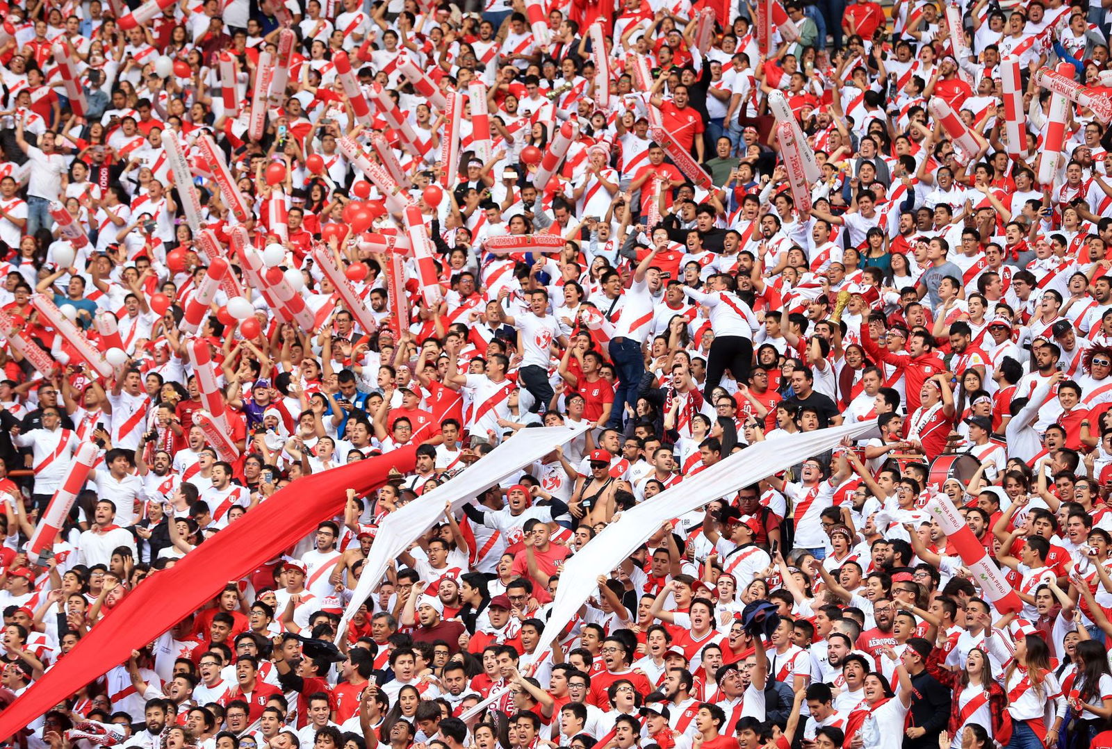 Hinchas peruanos