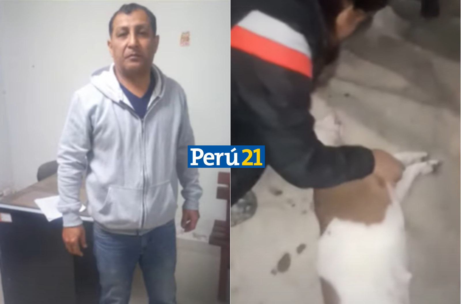 Policía asesina a perrita en Chiclayo. (Captura/Latina)