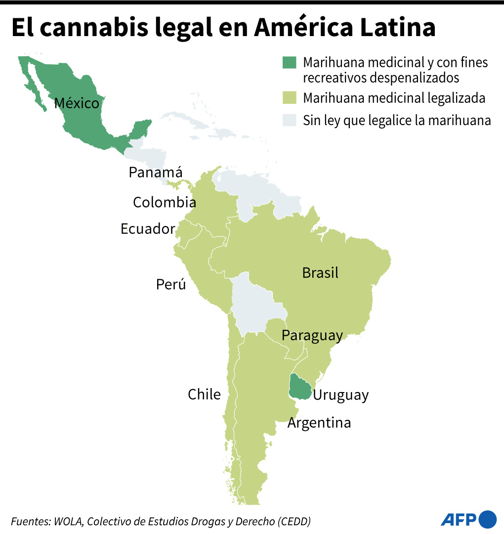 Marihuana. (AFP)