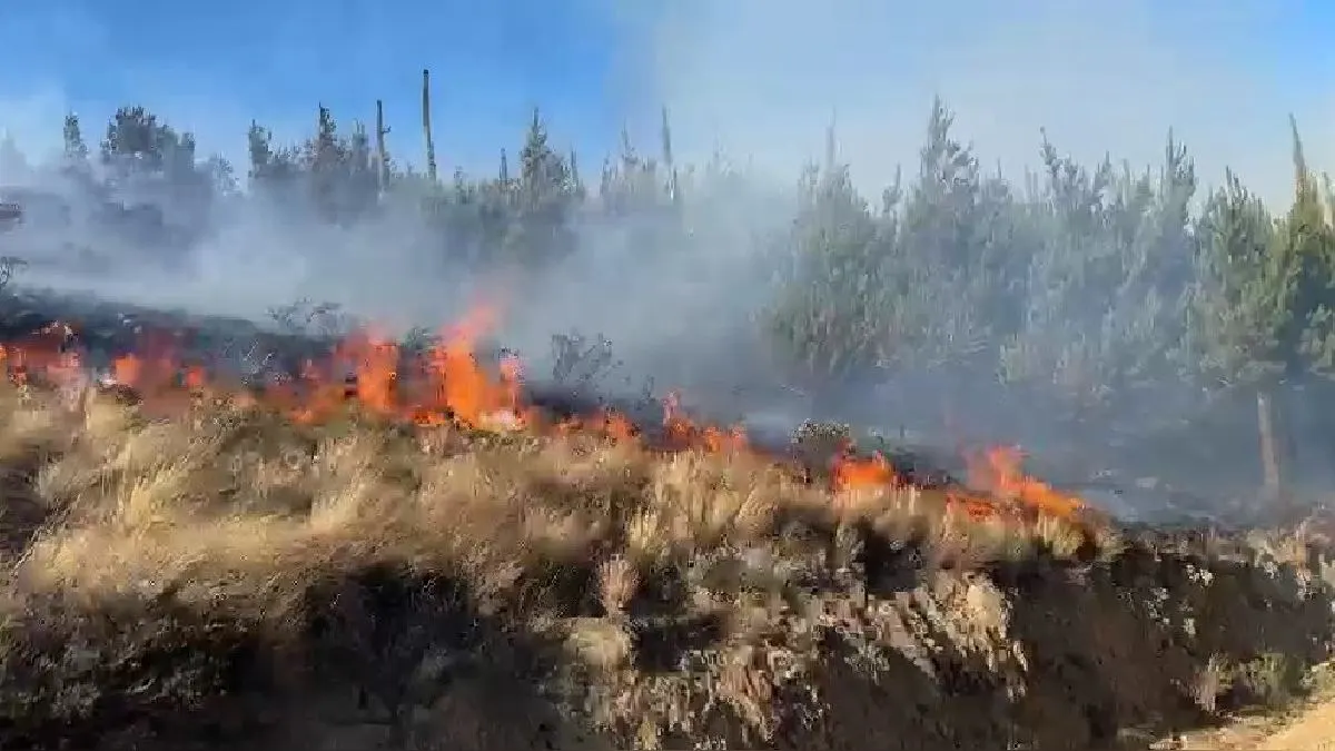 Al menos una víctima mortal y personas afectadas por la inhalación de humo es el saldo de una serie de incendios forestales en el norte del país.