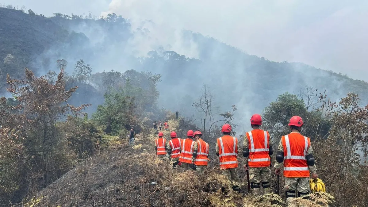 Actualmente se vienen registrando 49 incendios forestales activos en diversas regiones del país. ANDINA/Difusión