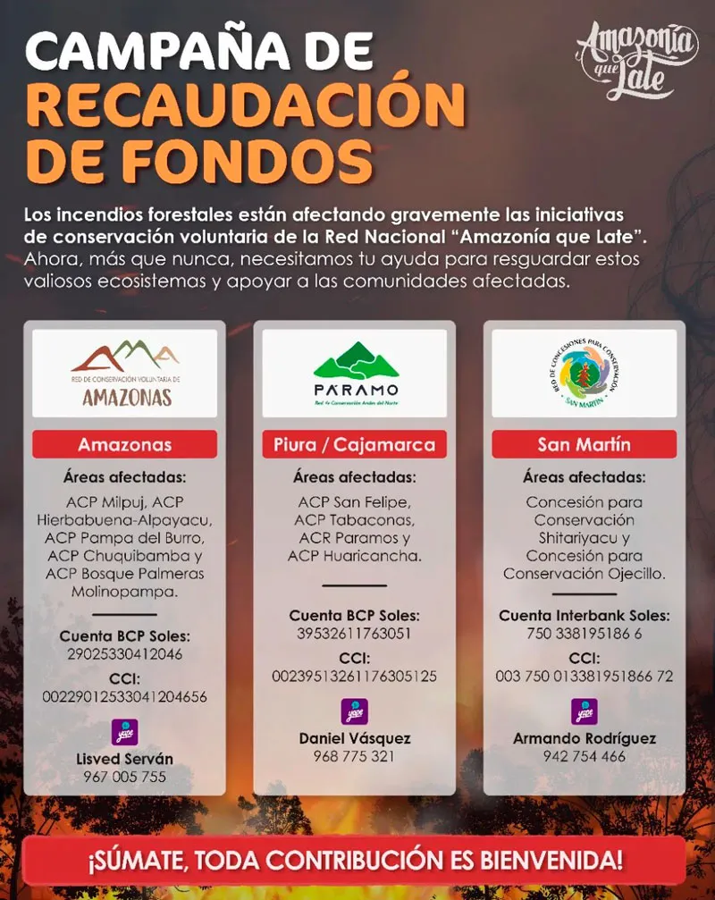 Así puedes ayudar a las víctimas de los incendios en Perú.