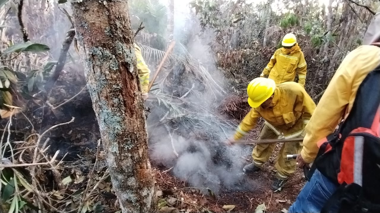 bomberos forestales