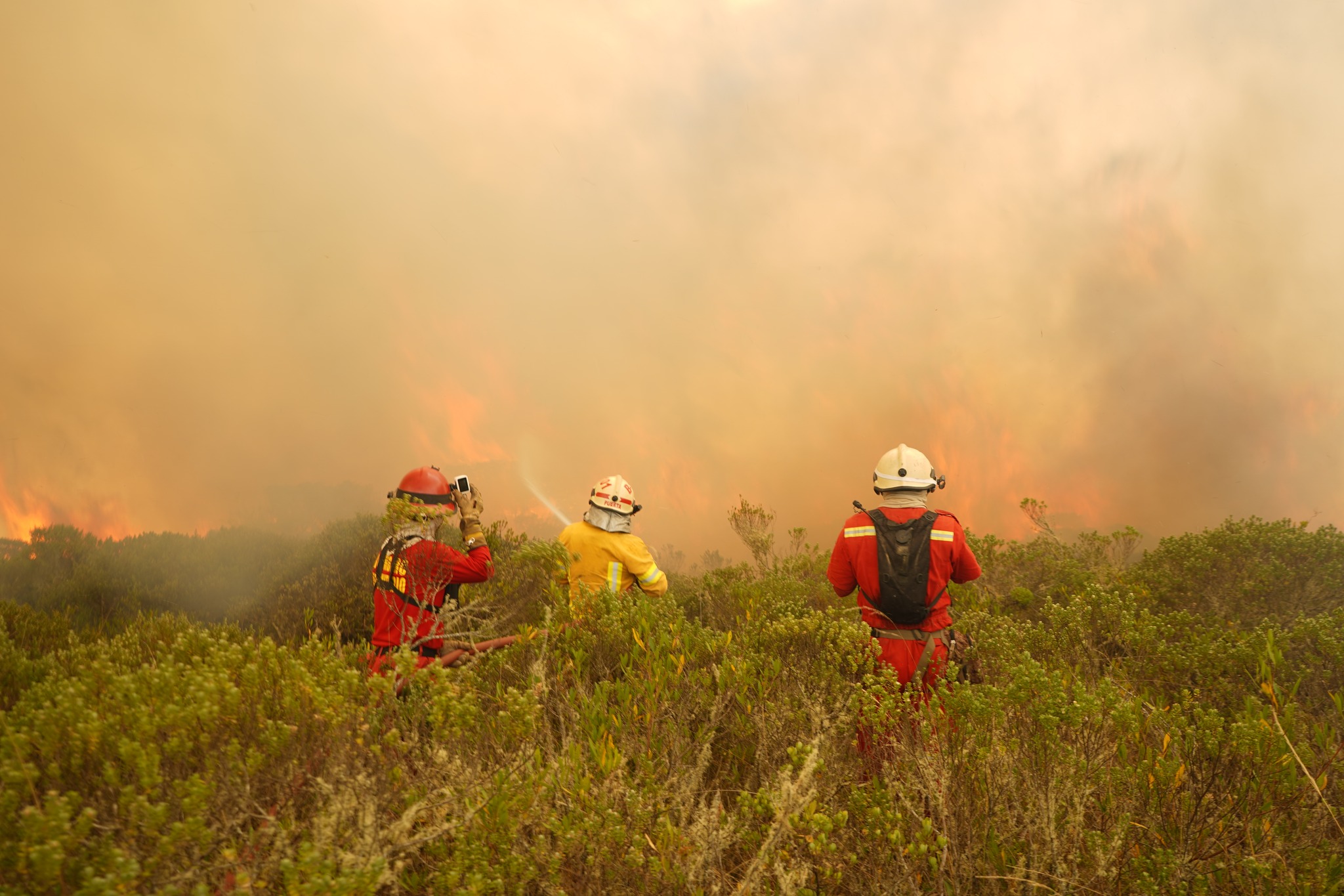 incendio forestal amazonas