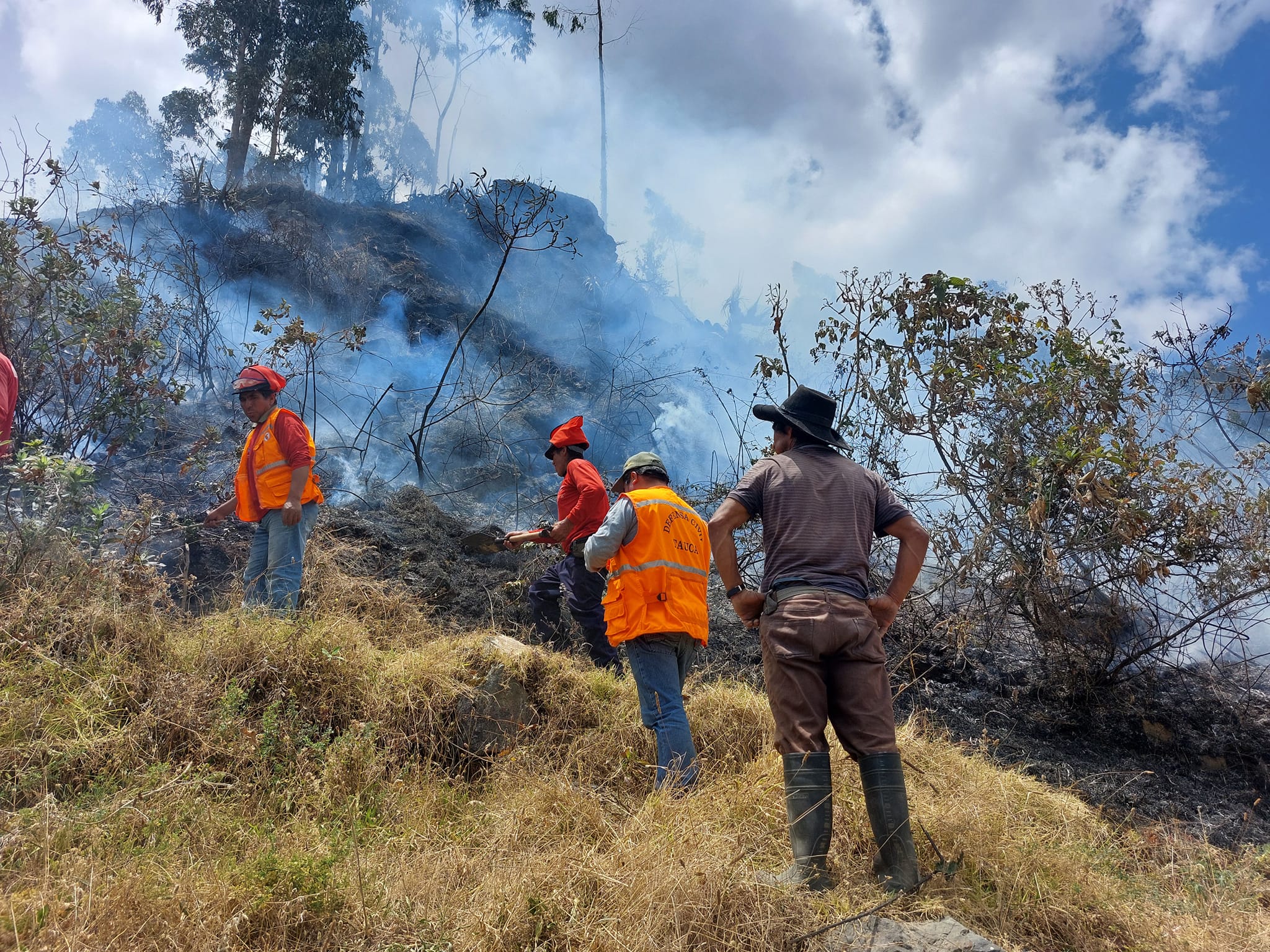 incendio forestal