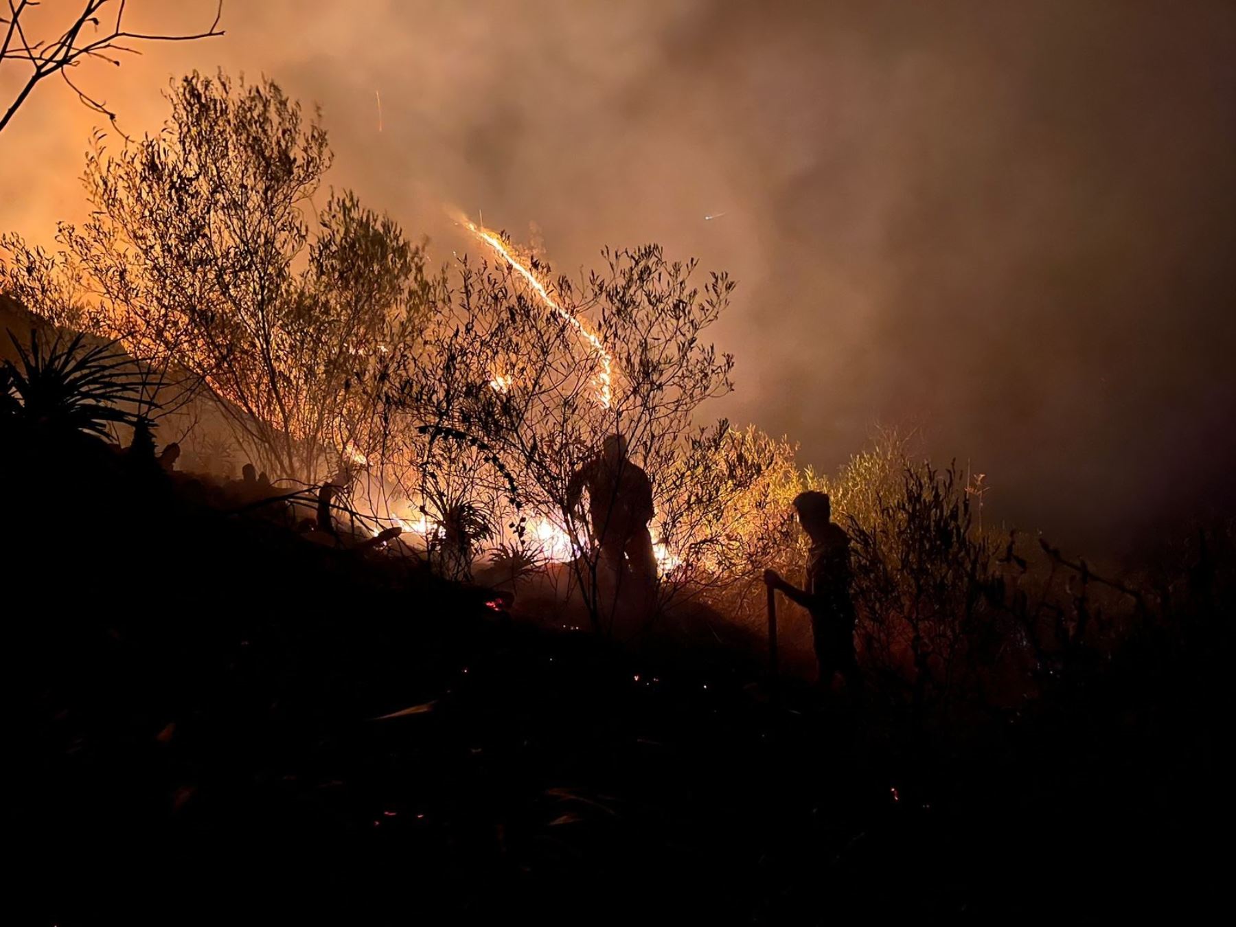 incendio forestal bosques