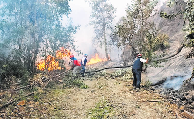 incendio forestal