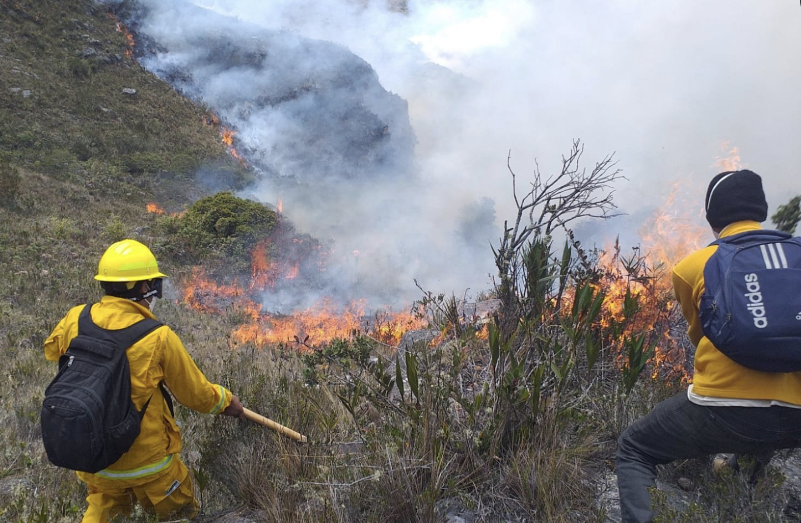 El gobierno asegura que se ha controlado el 60% de incendios forestales.