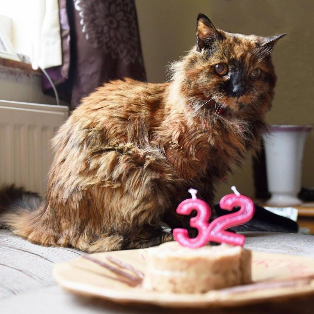 A lo largo de los años, Rosie se ganó el cariño de todos los que la conocieron. (Foto: Rosie cuando cumplió 32 años).