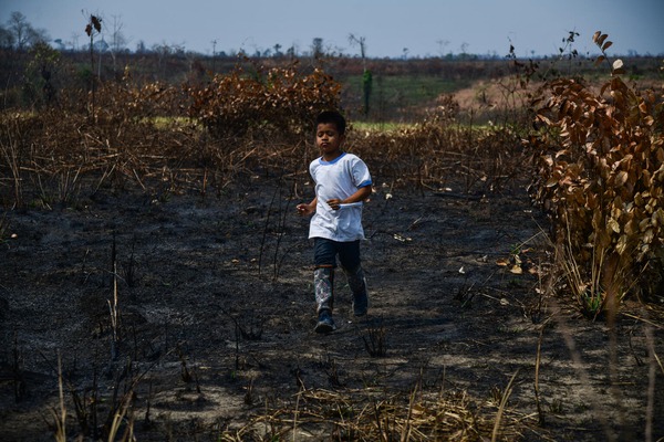 Tanto el déficit hídrico como los incendios forestales impactan seriamente la vida de niñas, niños y adolescentes. 