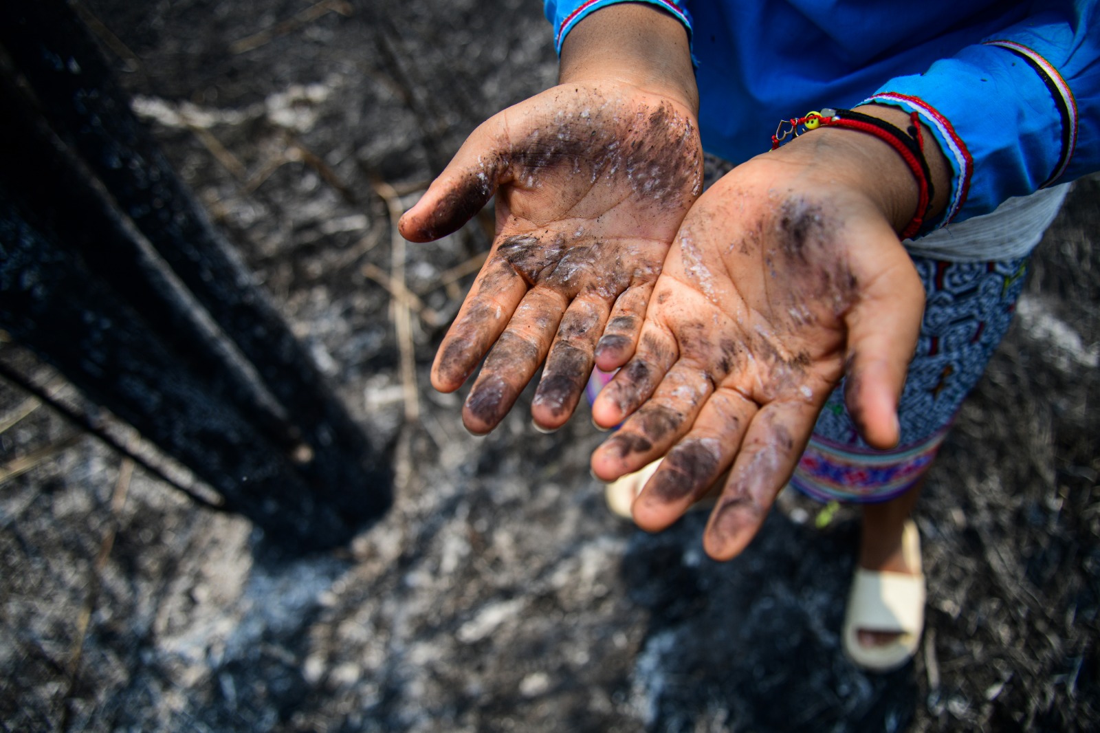 Tanto el déficit hídrico como los incendios forestales impactan seriamente la vida de niñas, niños y adolescentes. 