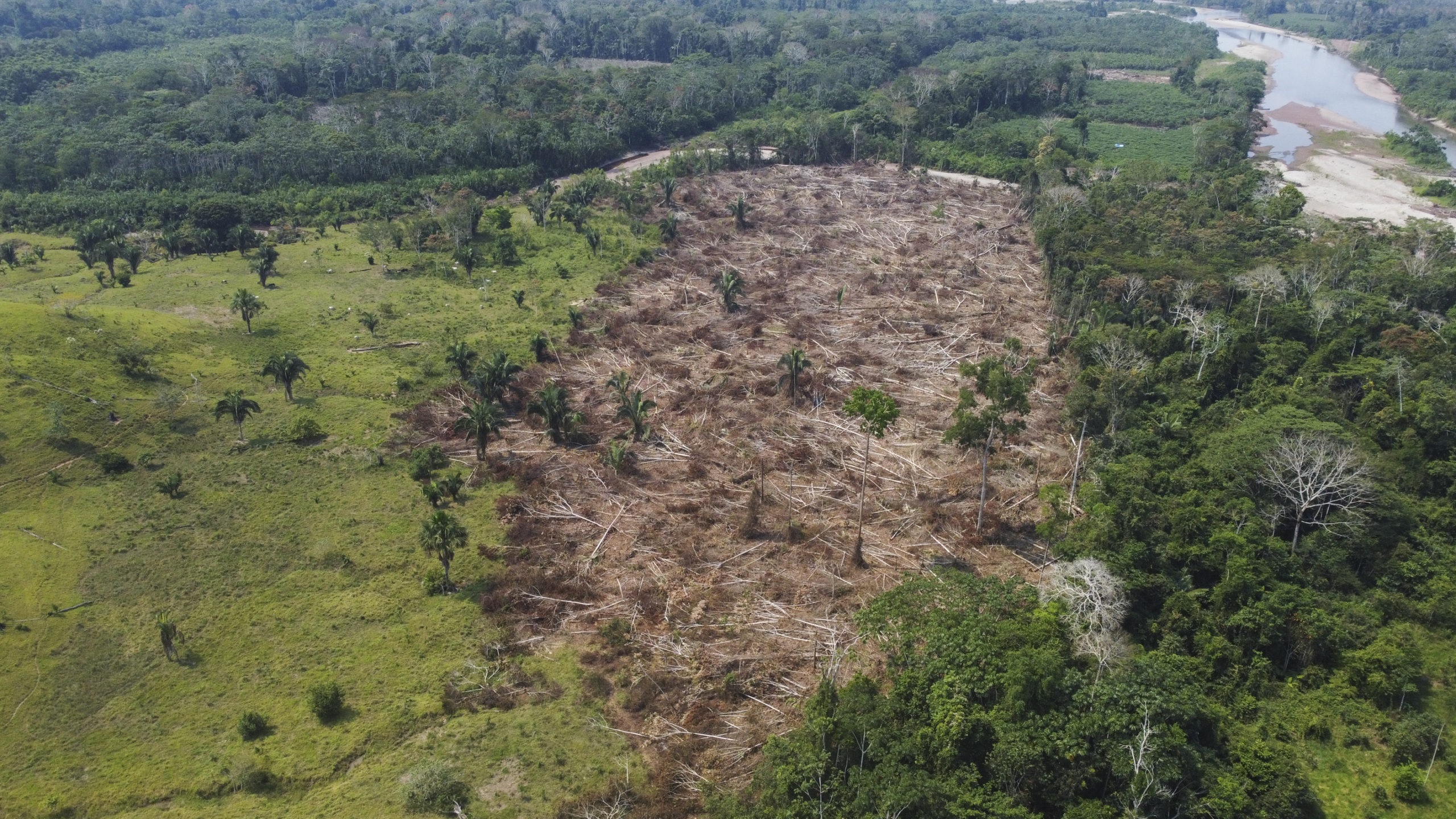 Masivas deforestaciones cortan el ciclo hidrológico del agua.