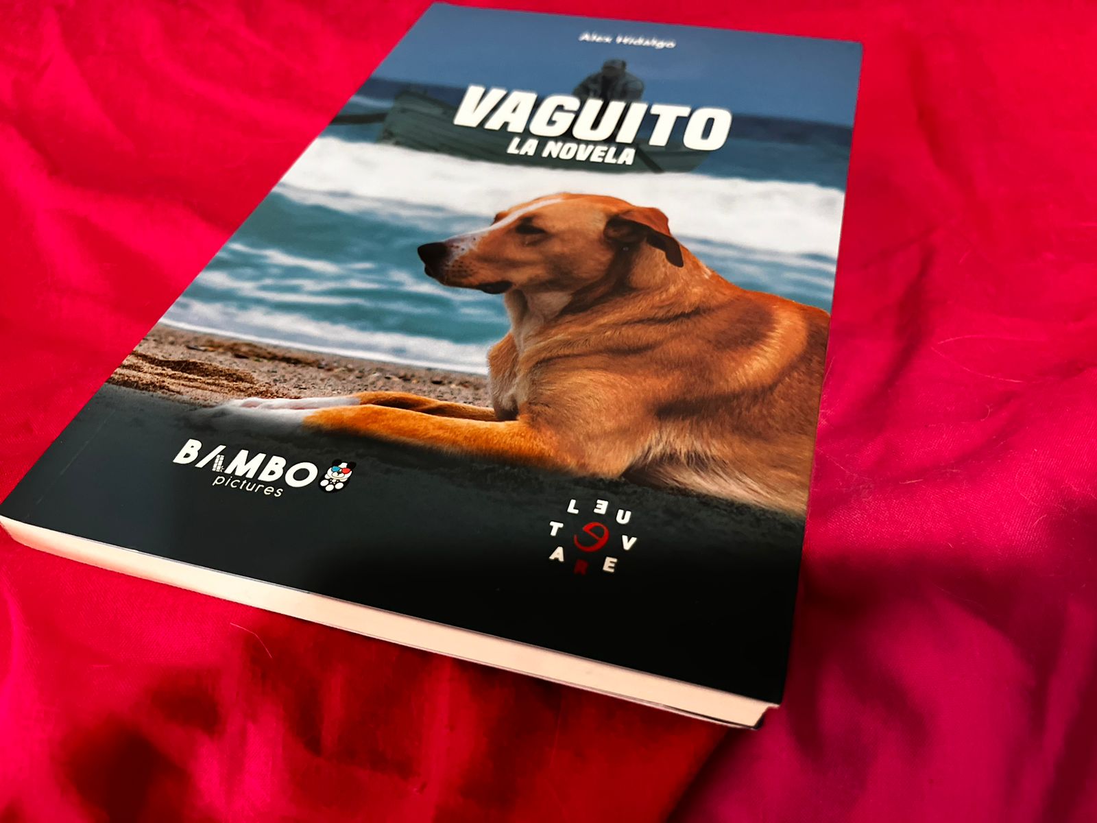 La novela de Vaguito.