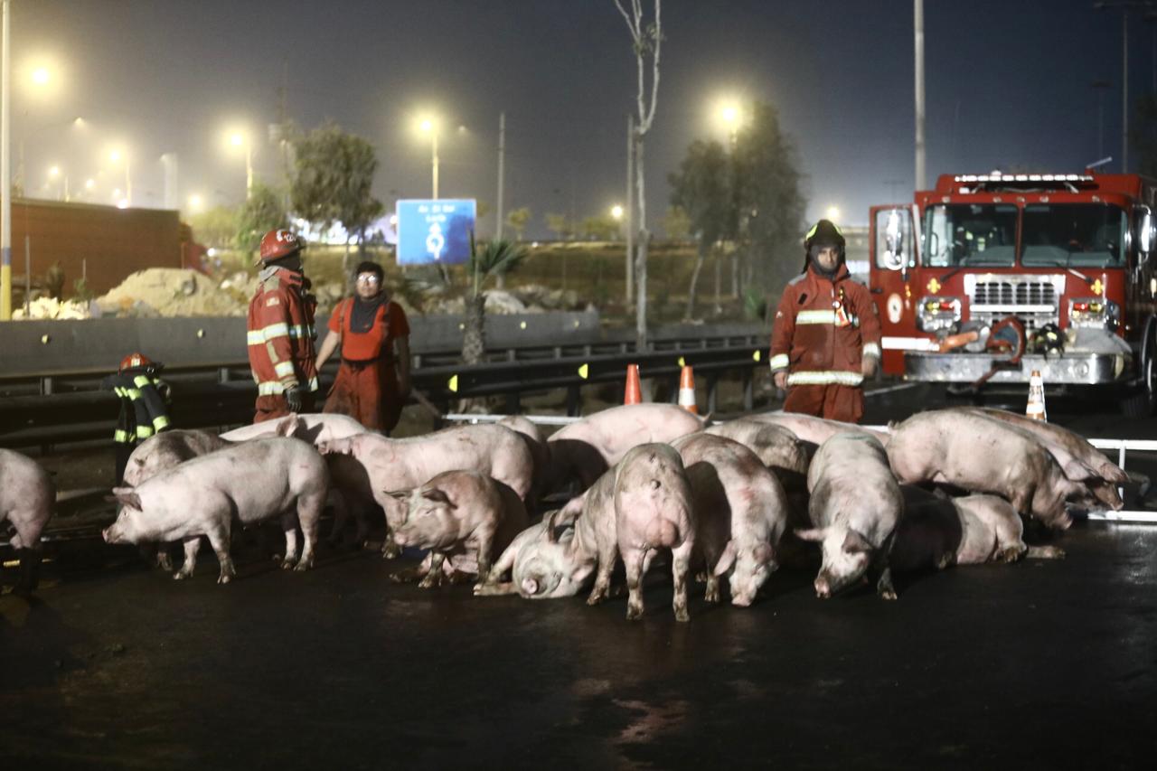 Accidente se registró la mañana de este 10 de septiembre. Foto: César Grados / GEC