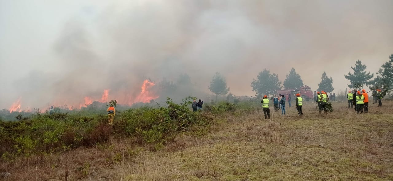 Incendios forestales en Amazonas