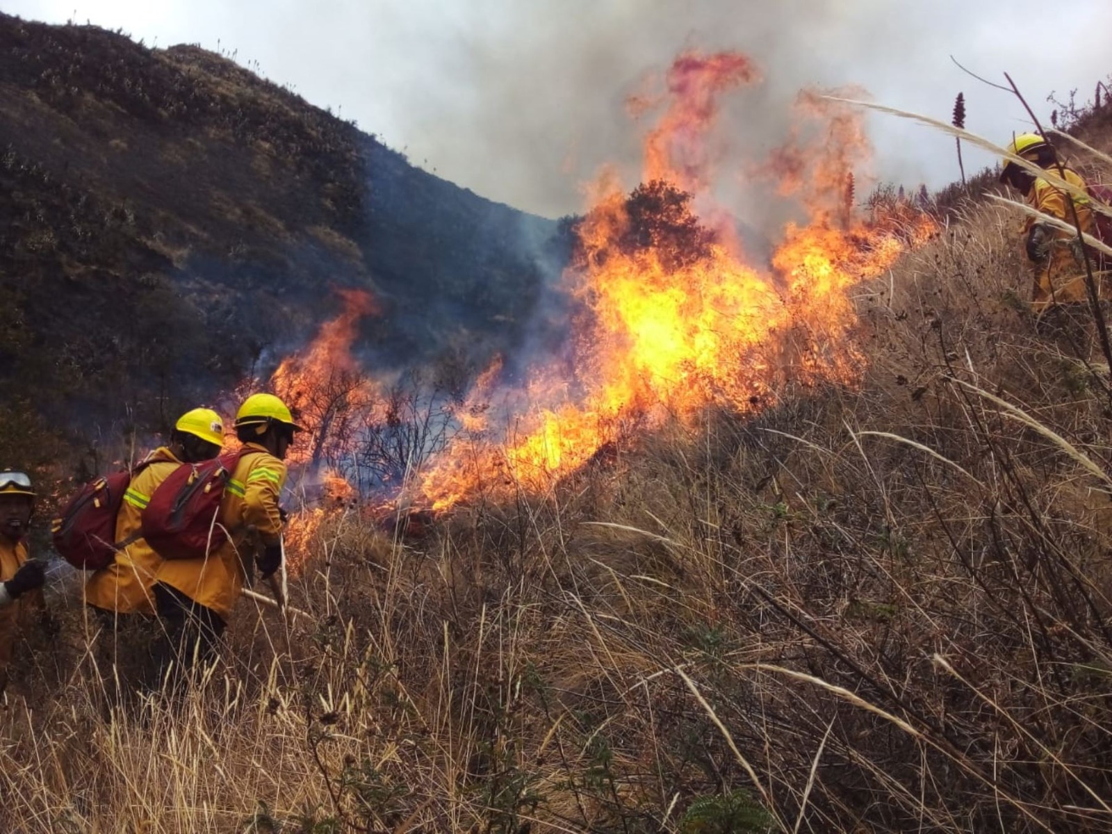 incendio forstal 