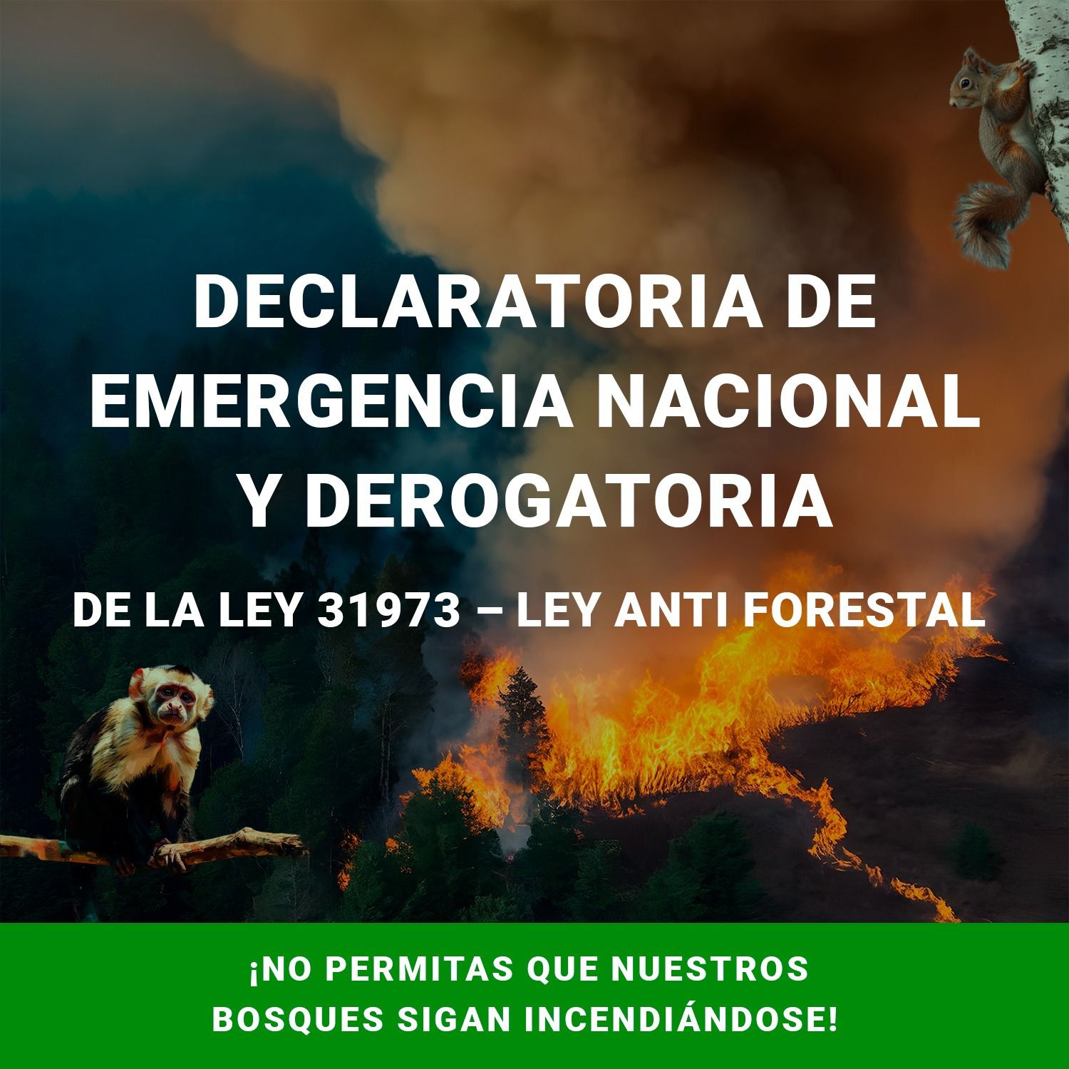 Declaratoria de emergencia