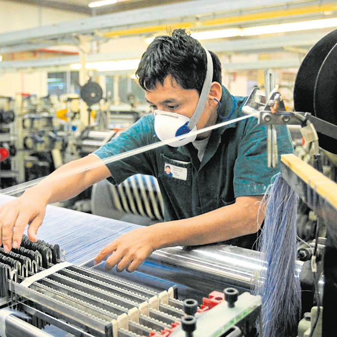 Proceso cuidado. Antes de lograr tejidos de alta calidad, el algodón Pima pasa por un cuidado especial para obtener fibras largas y uniformes. Su calidad solo se compara con el Pima egipcio.