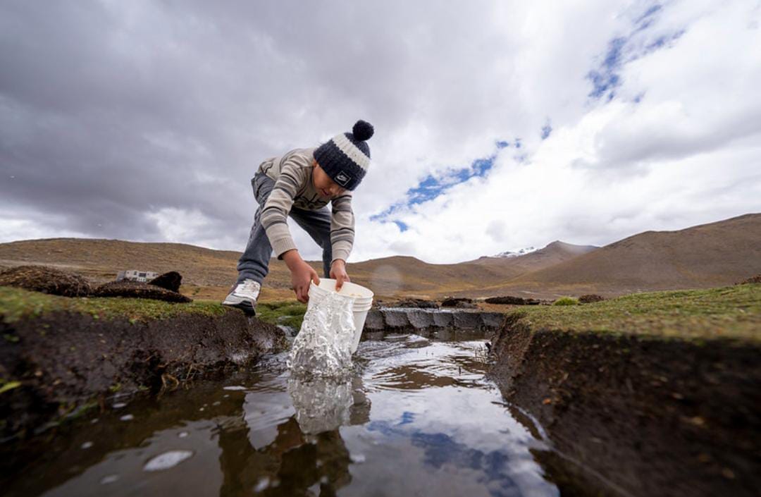 La pérdida acelerada de especies y recursos naturales nos obliga a actuar con el objetivo de detener y revertir la pérdida de biodiversidad para el año 2030.