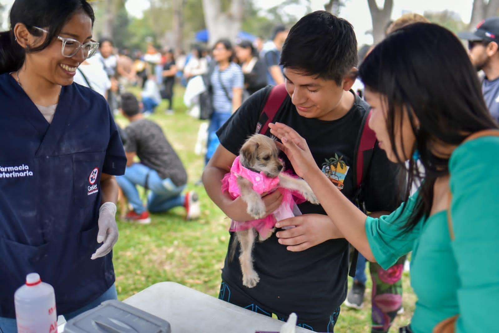 Convest Fest: adopción de mascotas