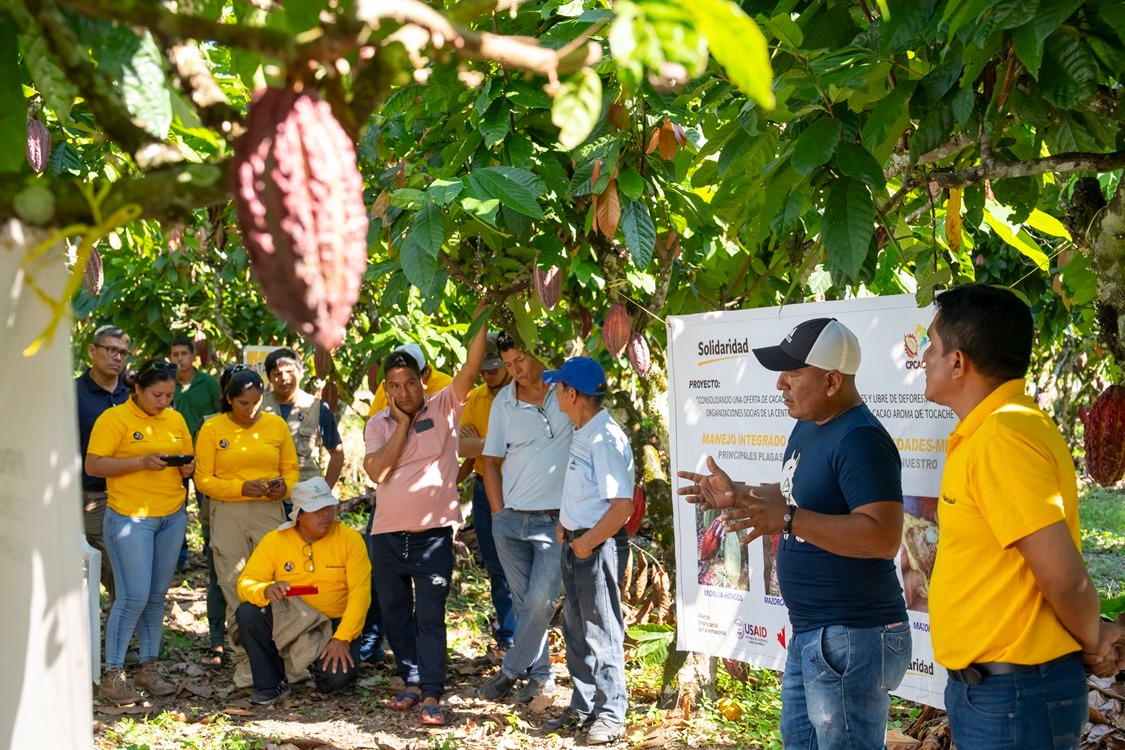 Deforestación y producción agrícola