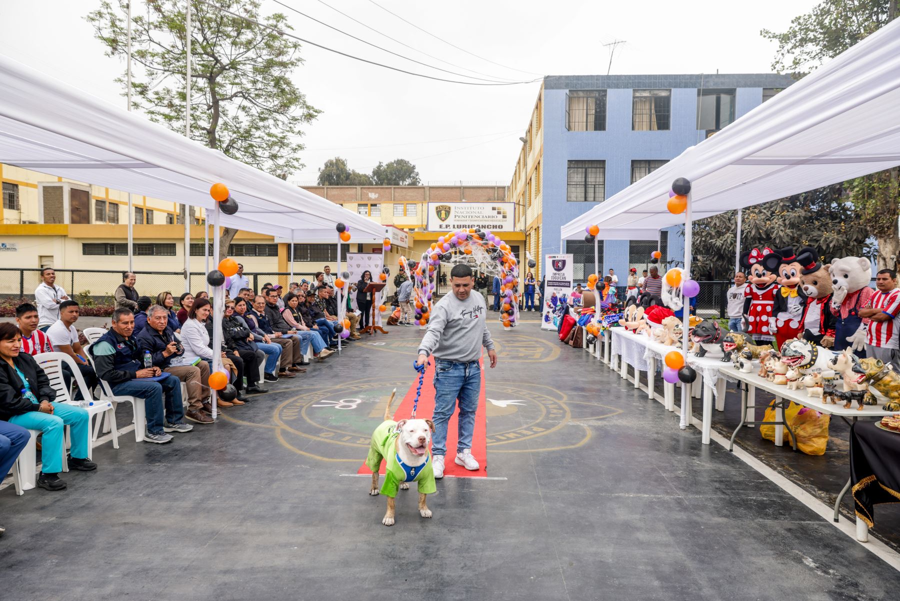 Perrito disfrazado de Mike Wazowski, personaje de Monster Inc.