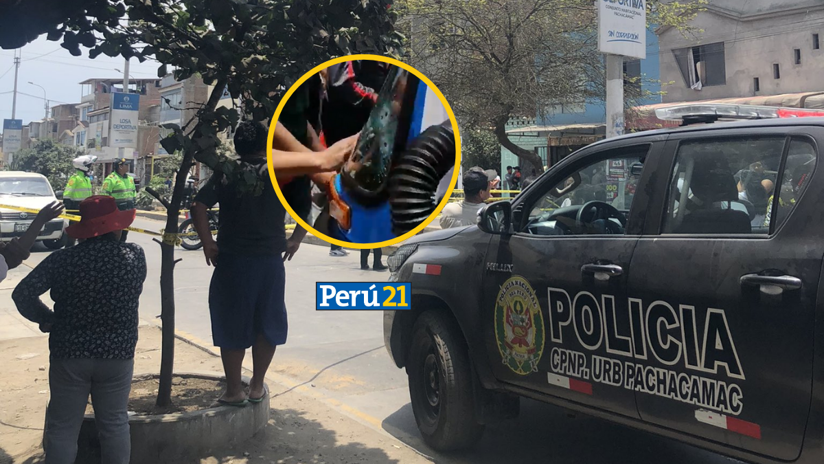 El crimen ocurrió en la urbanización Pachacamac, en VES