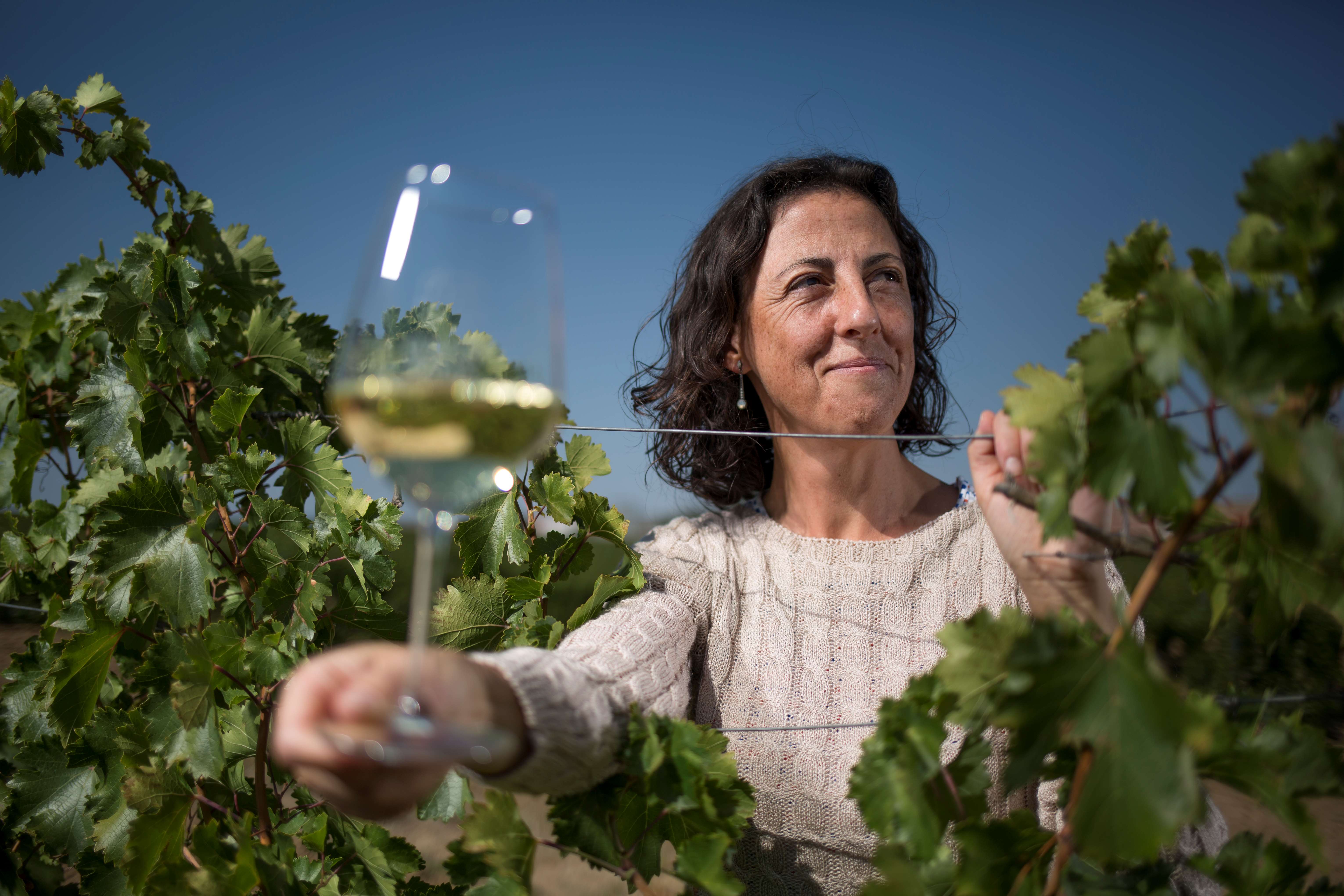 Bodega de vinos Cuatro Rayas