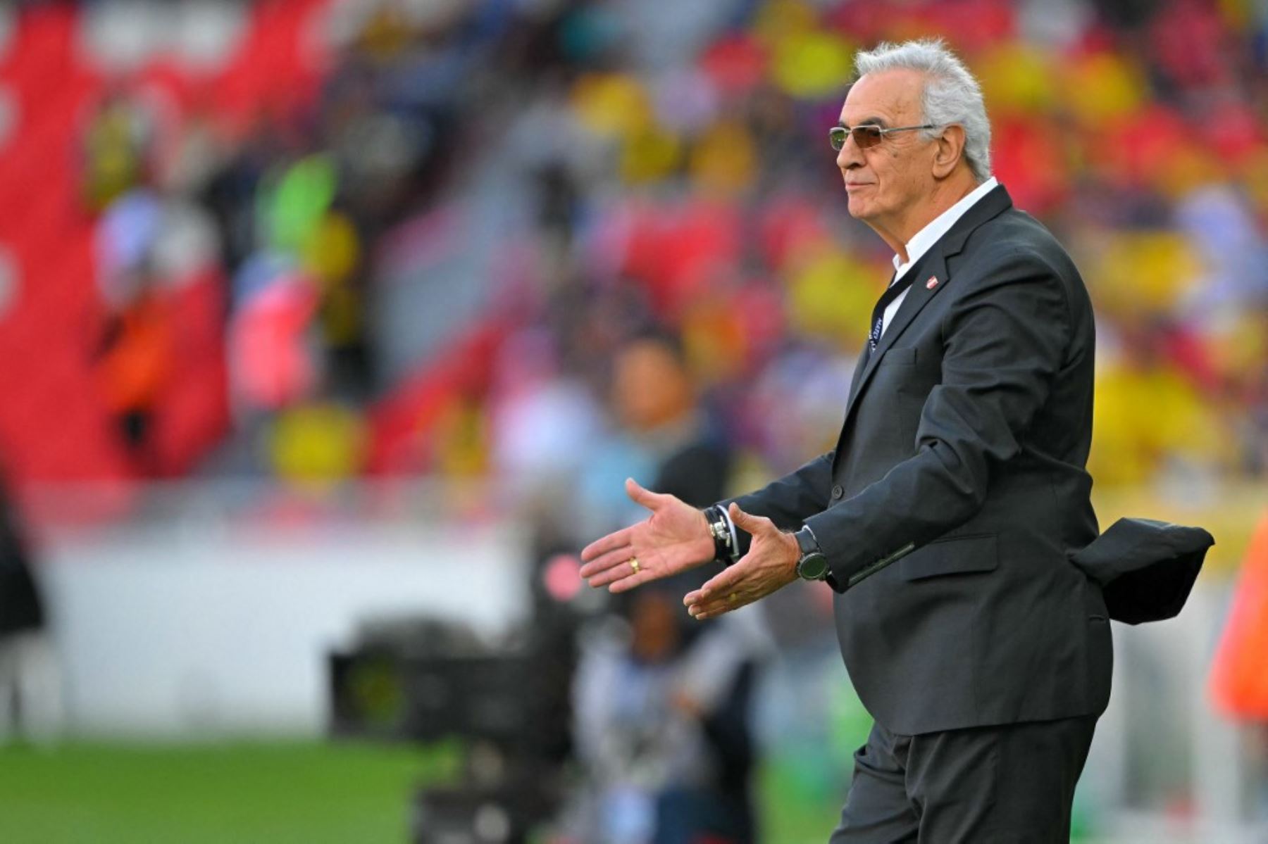 Fossati decides not to take Avellino to Brazil due to legal controversies and racism.