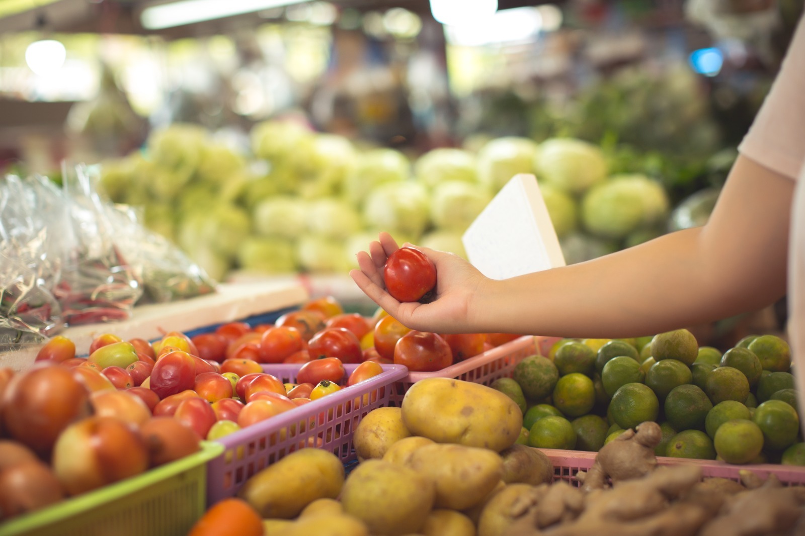 Frutas y verduras