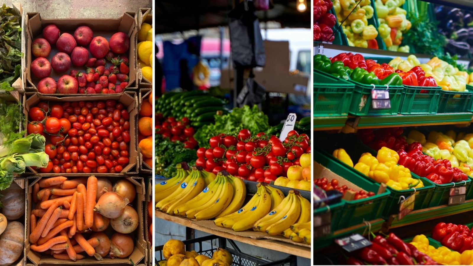 Guardar frutas y verduras