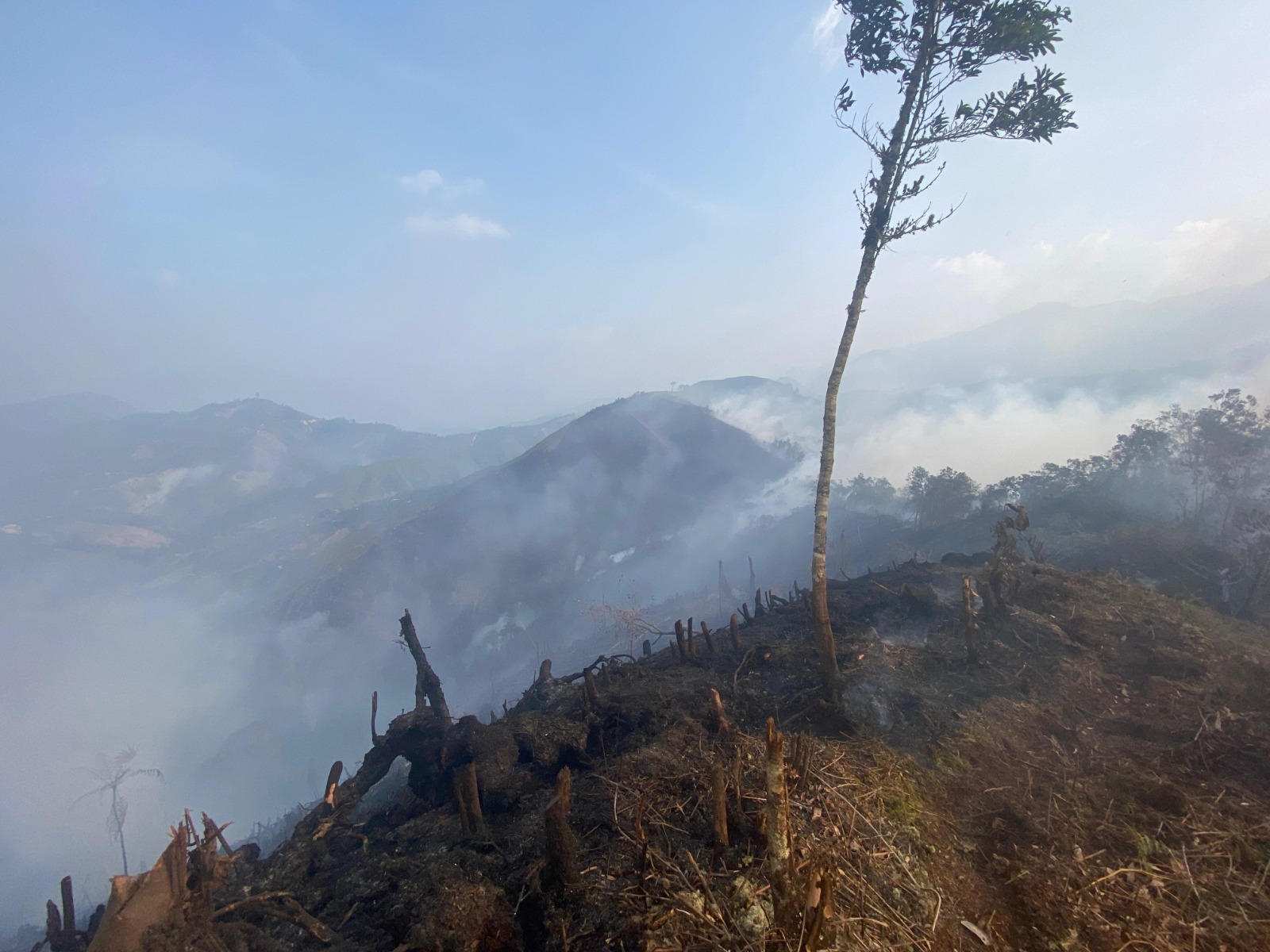 Incendio forestal Cajamarca