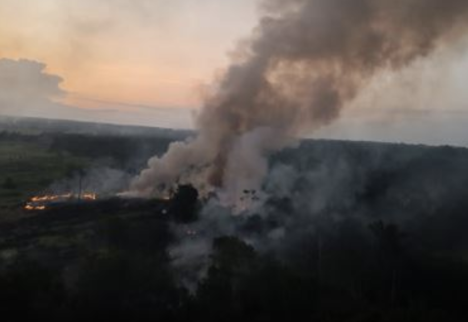 Incendio forestal