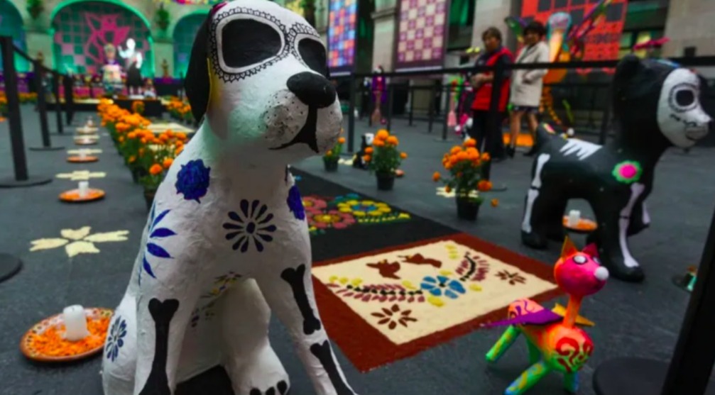 Las mascotas muertas nos visitan este 27 de octubre 2024. Foto Cuartoscuro