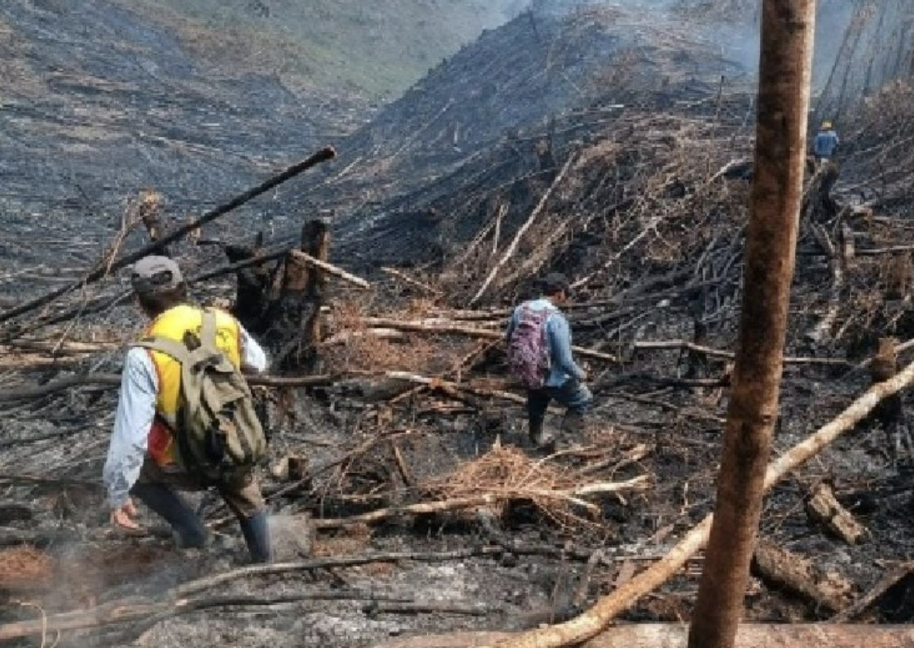 Incendio se inició el lunes.