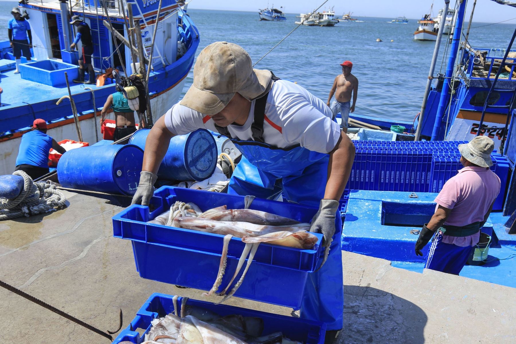 pescadores