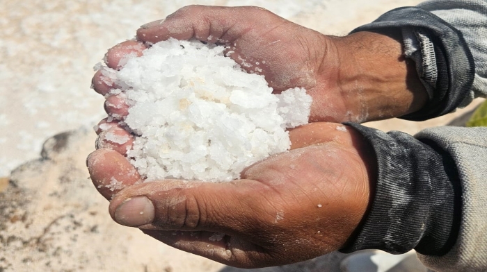 Sal de Maras del Cusco. 