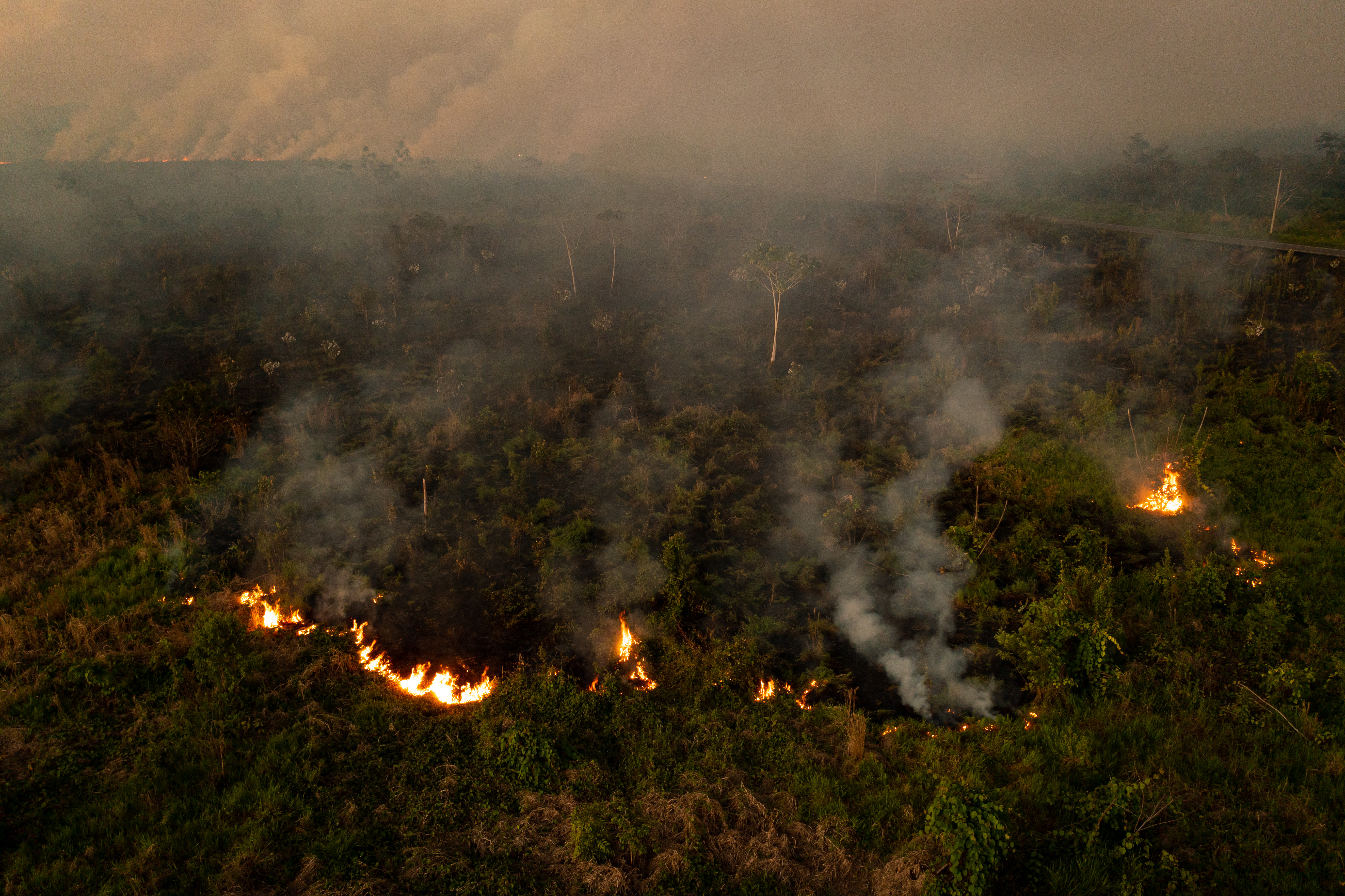 Incendio forestal