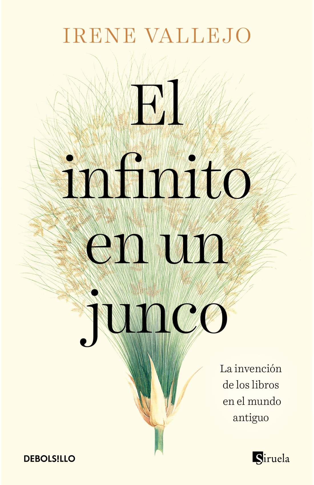 El infinito en un junco.