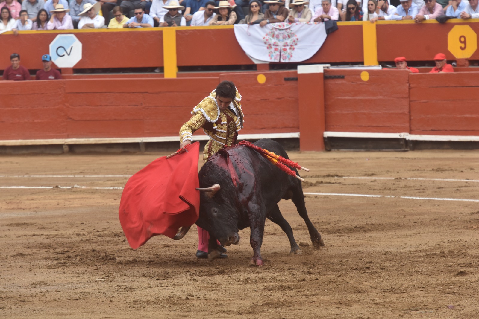 miguel angel perea torero