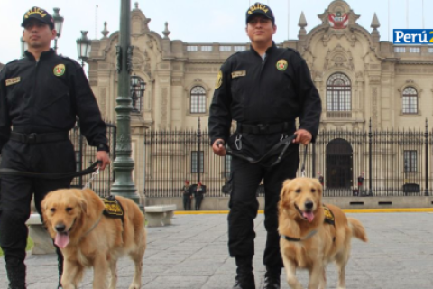 Policía canina