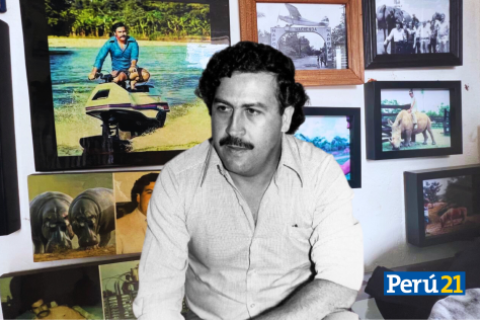 La hacienda Nápoles fue conformada en 1978 por Pablo Escobar y su primo Gustavo Gaviria. Foto: Composición Perú21 