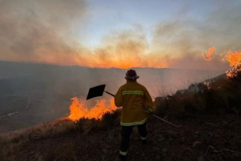 Actualmente se vienen registrando 49 incendios forestales activos en diversas regiones del país. ANDINA/Difusión