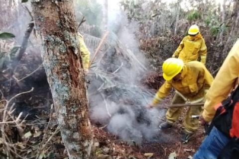 bomberos forestales