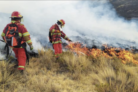 bomberos