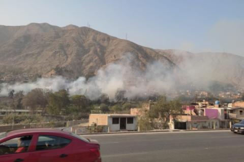 Incendio forestal en Chosica