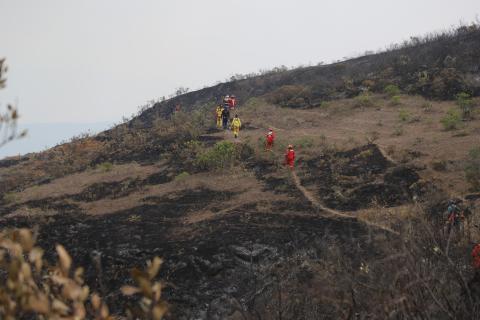 incendio forestal